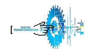 开云体育客服-体育教学资源数字化转型路径研究，体育教育资源